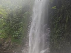 -莫里热带雨林景区