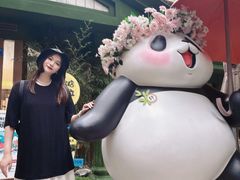 -轩客会(熊猫书店)