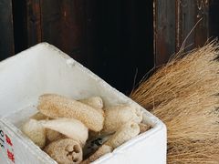 -丝绸小镇荻港古村