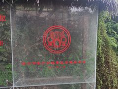 -陈炉古镇