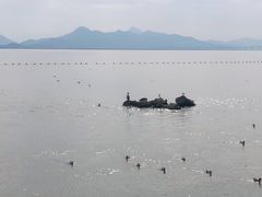 -福田红树林生态公园