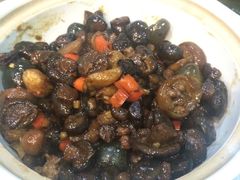 -刘胖子家常菜·蹄花焖藕(中南店)