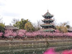 -望江楼公园