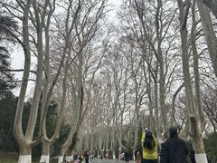 -刘长兴(卫岗店)