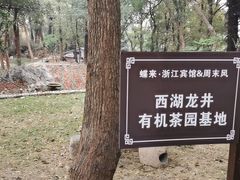 -浙江宾馆·花园餐厅·自助餐厅·茶吧