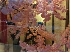 -春天来了(印象新天地店)