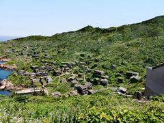 -枸杞岛