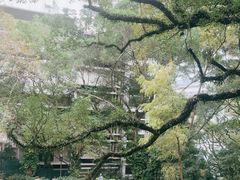-香港大学