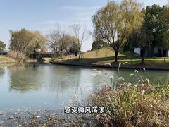-上海佘山世茂艾美酒店