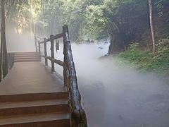 -川西竹海景区