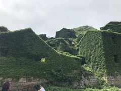 -枸杞岛