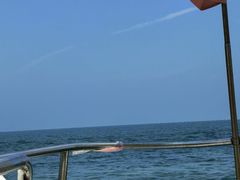 -海驴岛(荣成市)