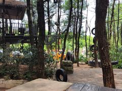 -铁山坪森林公园