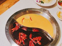 -大龙燚火锅