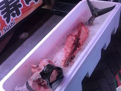 -大起水产回转寿司(道顿堀店)