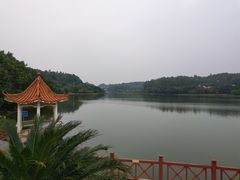 -南国桃园旅游度假区