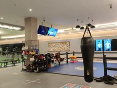 -章鱼健身 Octopus