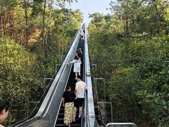 -千岛湖天屿景区