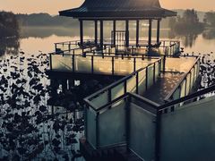 -上海市保健医疗中心