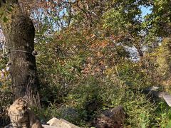 -终南山南五台景区