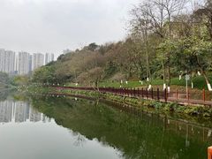 -重庆彩云湖湿地公园