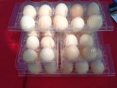 -南宁良凤江国家森林公园