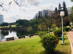 -深圳龙潭公园