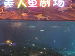 -太奥幻太奇海洋馆