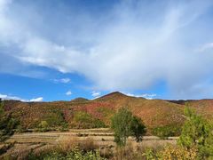 -塞罕坝国家级自然保护区