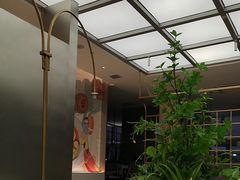 -黄记煌三汁焖锅(华发商都店)