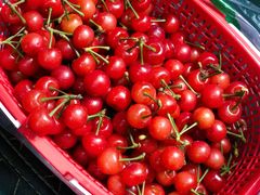 -樱桃山旅游景区