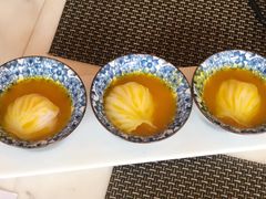 -五号茶居·新派粤菜·岭南五号酒店(沿江中路店)