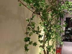 -绿杨春·淮扬宴(庐山路店)