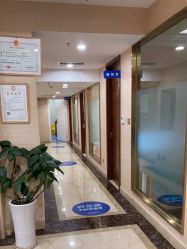 -碧莲盛·不剃发植发