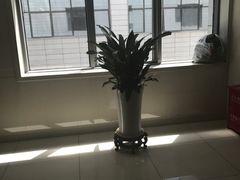 -北京协和医院(东单院区)