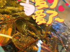 -小螺号海鲜·地道鲁菜(泉城广场店)