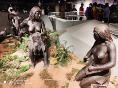 -北京周口店北京人遗址博物馆