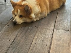 -肥朵食堂(带梦胡同店)