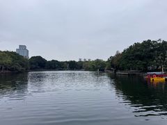 -荔湾湖公园