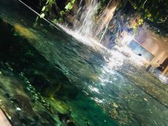 -绍兴梦享海洋公园