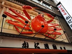 -蟹道乐(道顿堀本店)