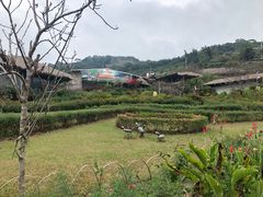 -优游吧斯邹族文化部落