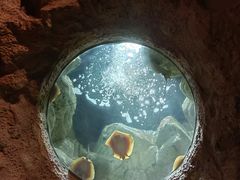 -珠海长隆海洋王国