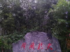 -张闻天故居