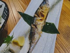 -锦鲤堂日本料理(莱茵之星店)
