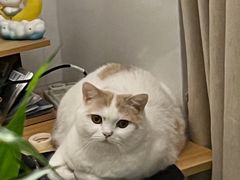 -品凯口腔(丰潭门诊)