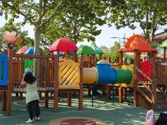 -羊亭河湿地公园