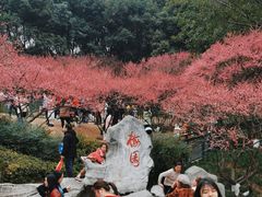 -重庆彩云湖湿地公园