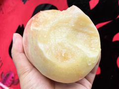 -老袁家蜜桃农场·阳山水蜜桃