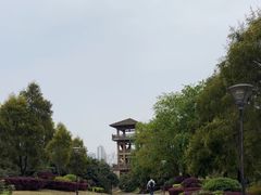 -张坝桂圆林公园